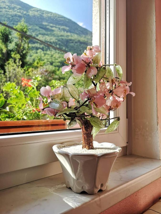 Apartma Floncna Apartment Bovec